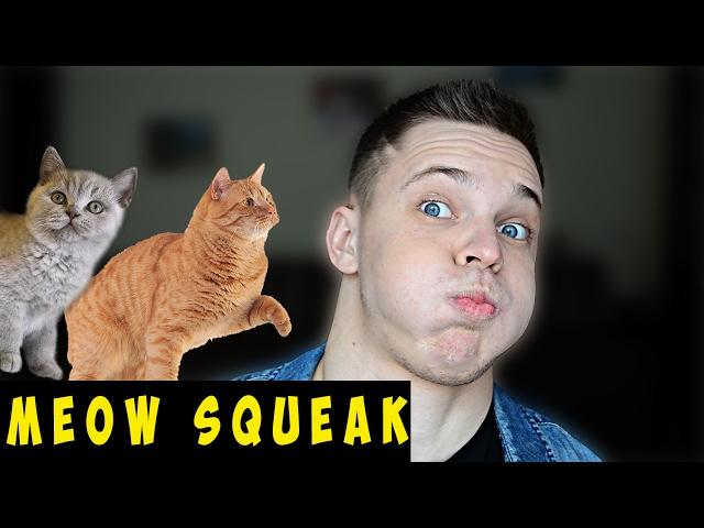 MEOW SQUEAK КАК ДЕЛАТЬ? ШКОЛА БИТБОКСА