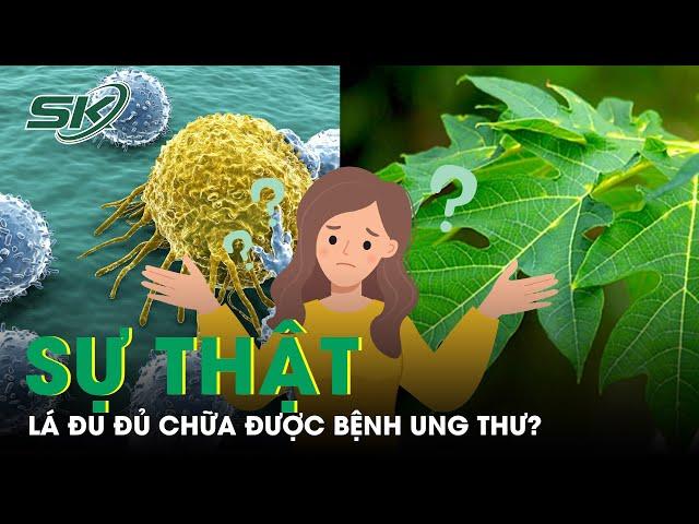 Sự Thật Lá Đu Đủ Chữa Được Ung Thư? | SKĐS