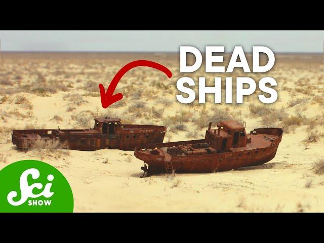 What Science Reveals about Shipwreck Graveyards