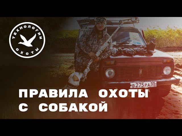 Правила охоты с собакой