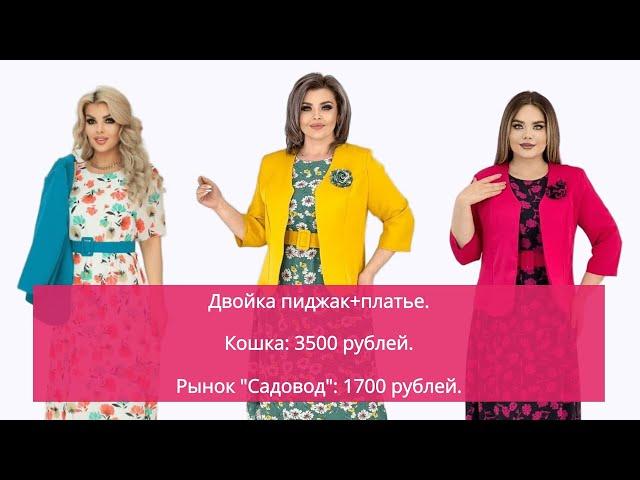 Дешевле не найти  Кошка Чечня БлоХер