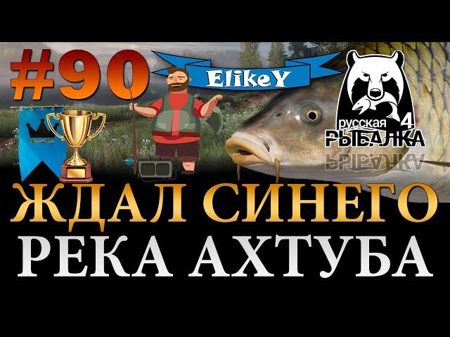 Огромный Сазан! • Взял 3 Трофея • Фарм 2.000 монет за 3 часа • Река Ахтуба • Русская Рыбалка 4 #90