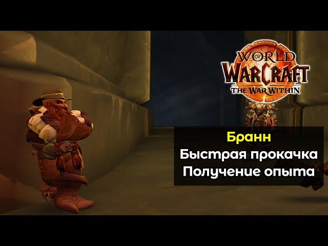 Как быстро прокачать Бранна для успешного прохождения вылазок | World of Warcraft: The War Within