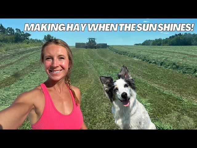 Dog Days of Summer on the Farm | Start of 4th Crop Hay