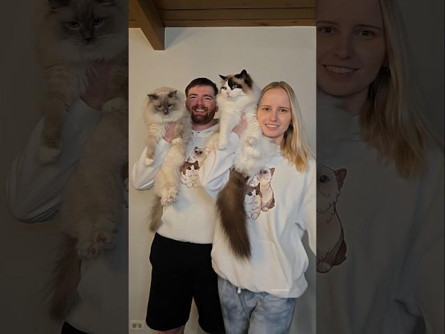 Eevee & Yoshi's humans made it official last weekend 