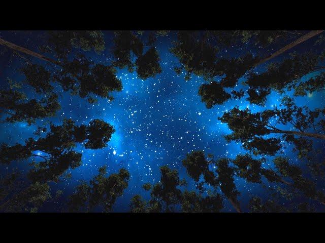 Fall Asleep in 5 MINUTES | Destroy Unconscious Blockages and Negativity | Starry Night