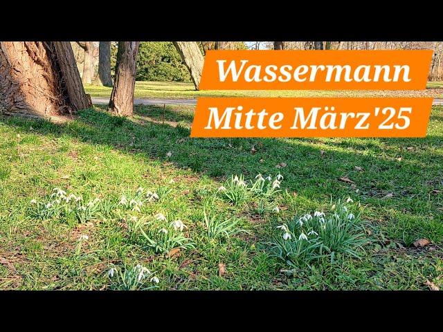 Wassermann️ Mitte März'25- 2️⃣ Prüfungen - am Ende erwartet euch die Belohnung ️️