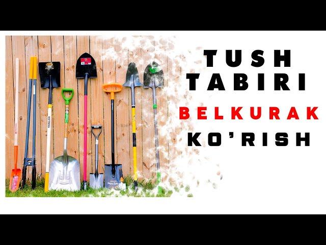 Tushda Belkurak Ko'rish Tabiri