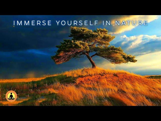 10 Hour: Beautiful & Relaxing Music Playlist by Yellow Brick Cinema | Deep Healing Sleep Meditation