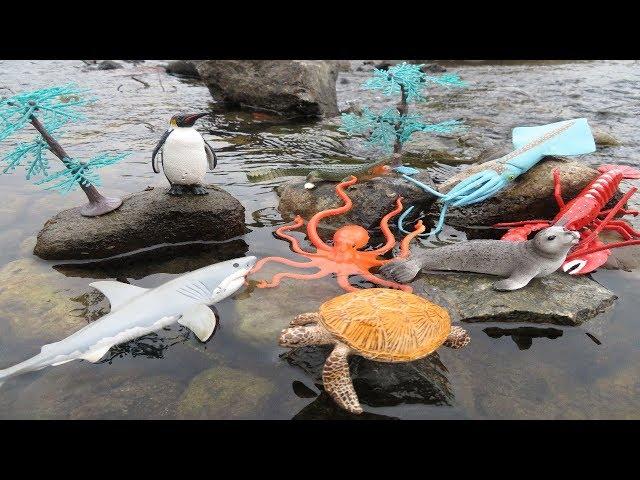 Splash Into Learning: Sea Animal Toys Fun Water Play for Kids