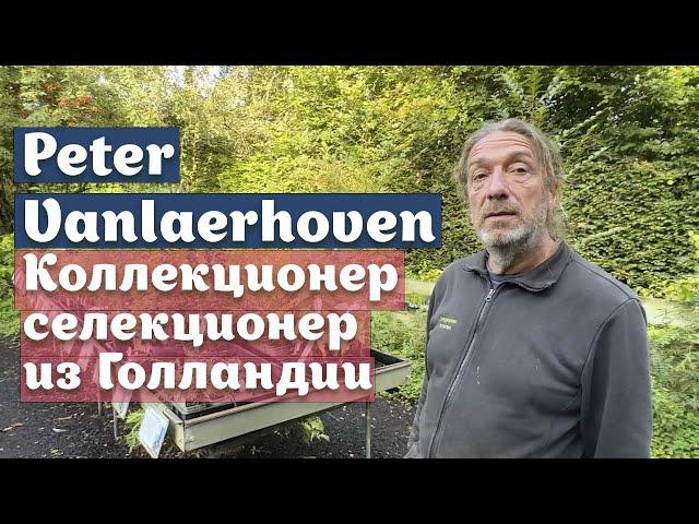 Коллекционер-селекционер Peter Vanlaerhoven и его садик Lowgardens| Голландия