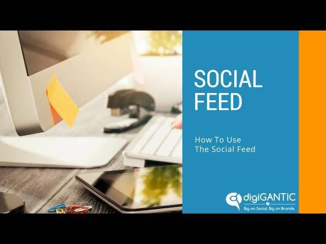 How to use the Social Feed