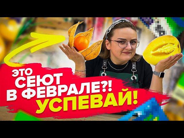 ЧТО СЕЯТЬ В ФЕВРАЛЕ? КОГДА СЕЯТЬ ТОМАТЫ, ПЕРЦЫ, БАКЛАЖАНЫ?