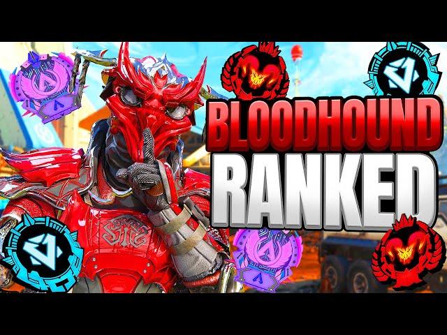 High Level Bloodhound Ranked Gameplay - Apex Legends