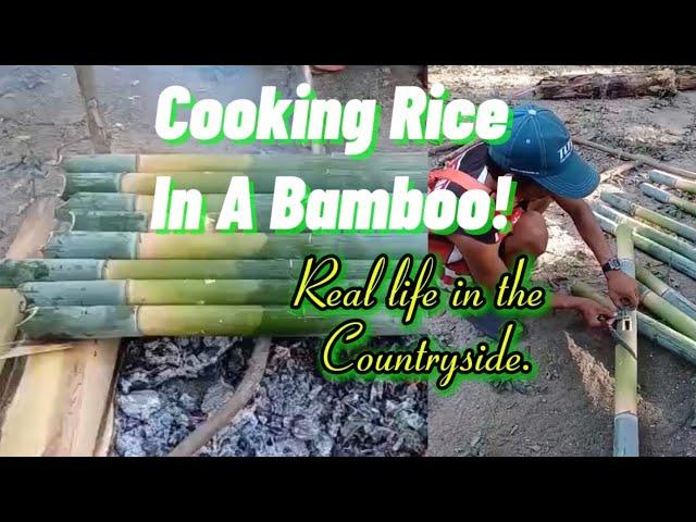 Cooking Rice In A Bamboo,Real Life In The Countryside.