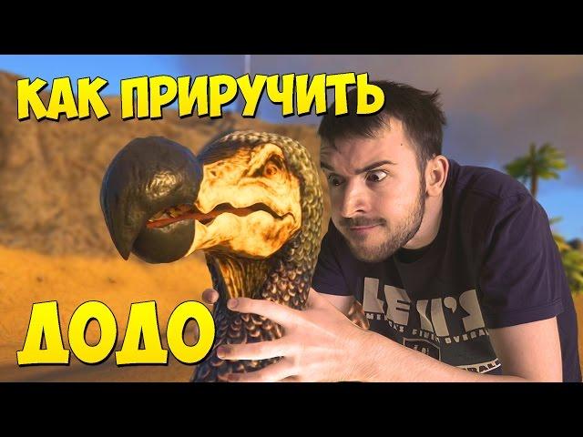 КАК ПРИРУЧИТЬ ДОДО в ARK