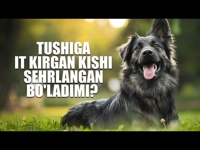 Tushiga it kirgan kishi sehrlangan bo'ladimi? | Shayx Sodiq Samarqandiy