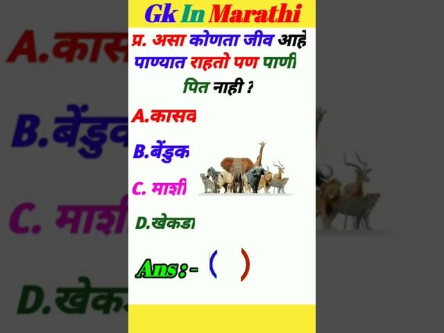 Gk Question | Gk in Marathi | Gk Quiz | #rggkquizmarathi