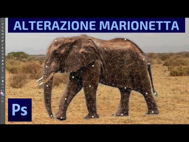 Tutorial PhotoshopCC - Alterazione Marionetta