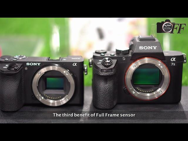 A7II vs A6500 Comparison Video 1080p