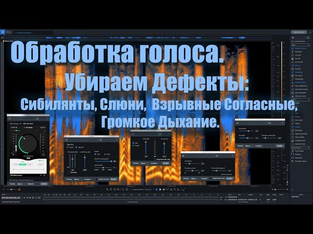 #17. Обработка голоса. Убираем Дефекты: Сибилянты, Слюни, Взрывные Согласные, Громкое Дыхание.