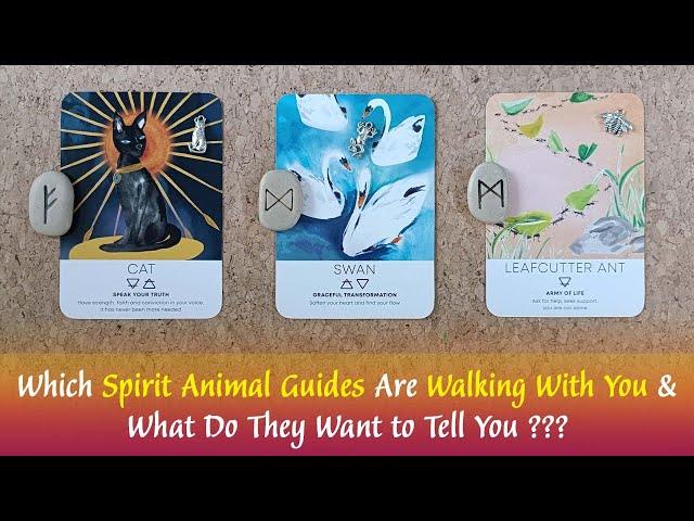 Which Spirit Animal Guides Are Walking With You & What Do They Want To Tell You 