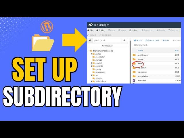 How to Set Up a Subdirectory in WordPress (Step-by-Step Guide)