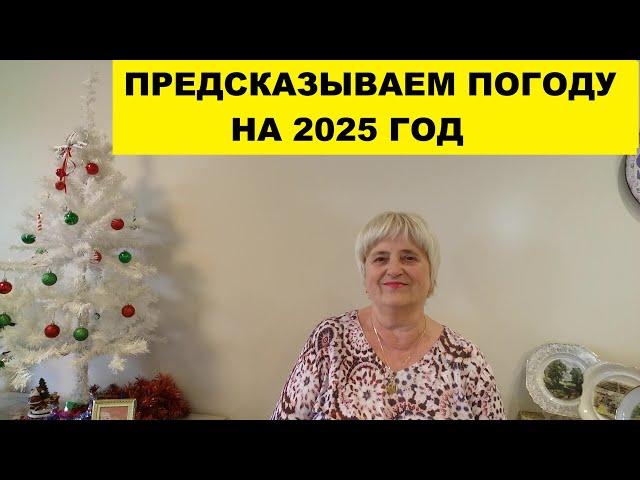 ПРЕДСКАЗЫВАЕМ ПОГОДУ НА 2025 ГОД..ВСПОМНИЛА ПРО ПЛАЩ-БОЛОНЬЮ