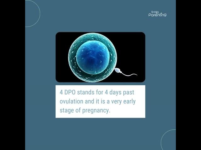 4 DPO Pregnancy Symptoms