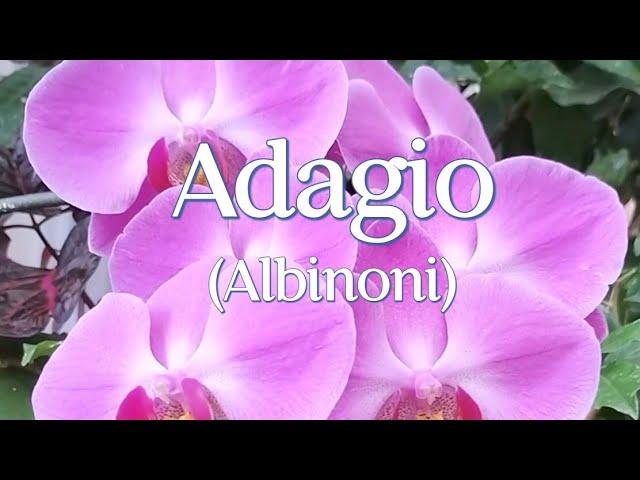 Adagio (Tomaso Albinoni) | Instrumental Piano