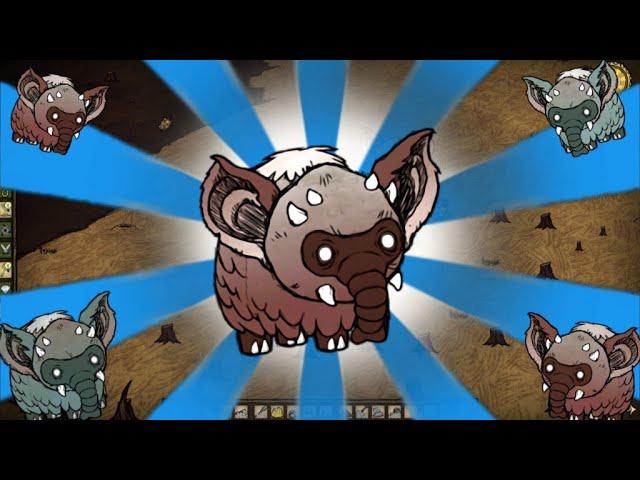 КОАЛОСЛОН в Don't Starve