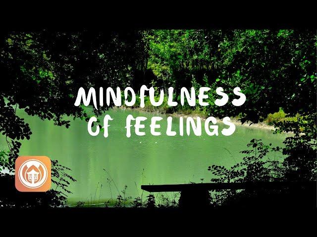 Mindfulness of Feelings | Brother Phap Linh