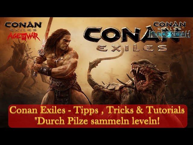 Conan Exiles - Tipps , Tricks & Tutorials - "Durch Pilze sammeln leveln!