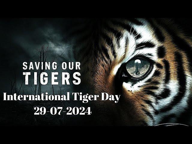 International Tiger Day 2024 | #internationaltigerday  #tigerconservation