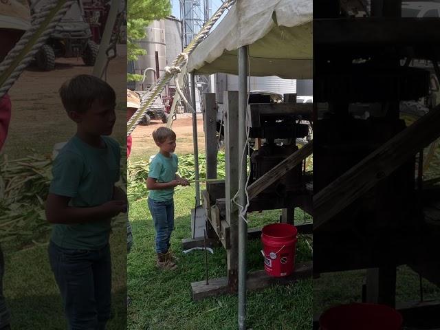 Making Sorghum the old-fashioned way   100 years of Horsepower - Tractor Show #shorts