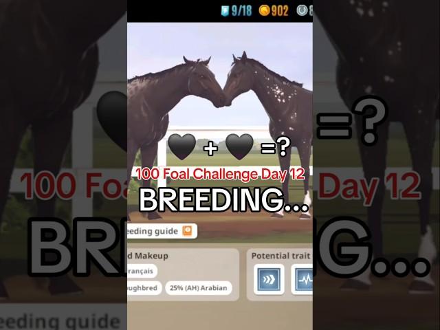 Breeding In Rival Stars Horse Racing 100 Foal Challenge Day 12 +=? #rivalstarshorseracingbreeding