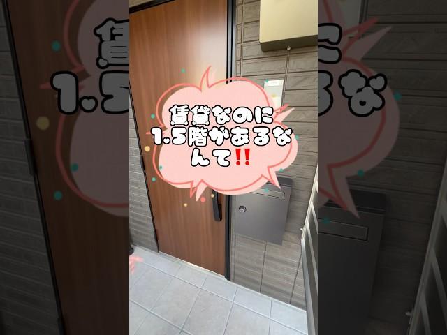 【内見】1.5階部分があるアパートってホントにあるの？#shortvideo #shorts #short #ルームツアー #賃貸