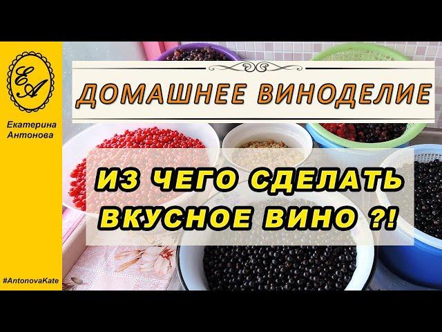 Из каких ягод и фруктов получается вкусное домашнее вино