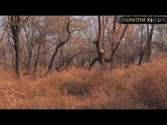 КАТА ЙОШДАГИ ЕРКАКЛАР КУРСИН ФАКАТ