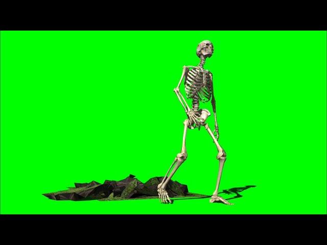 Green Screen Skeleton / Skeleton rises from grave