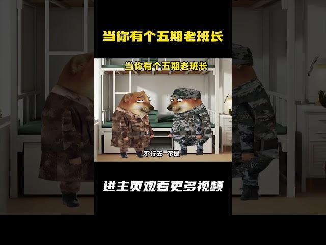 当你有个五期老班长 #军旅 #万万没想到 #兵哥哥 #内容过于真实