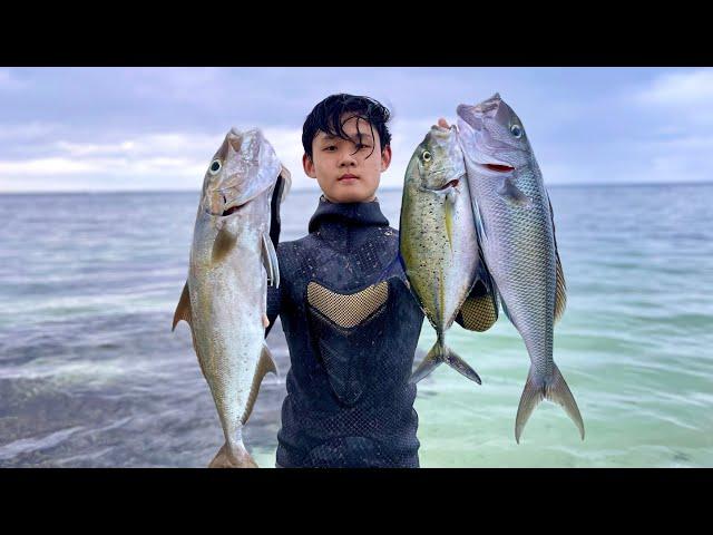 Spearfishing Uku In SUPER Shallow Water | Shore Dive Spearfishing Action