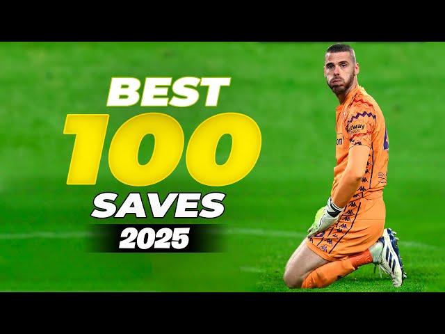 2025's Best 100 Goalkeeper Saves HD