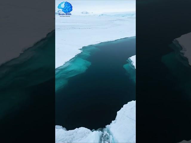 A Hidden Lake Under Antarctica #facts #science #antarctica #lake #didyouknow  #viralvideo