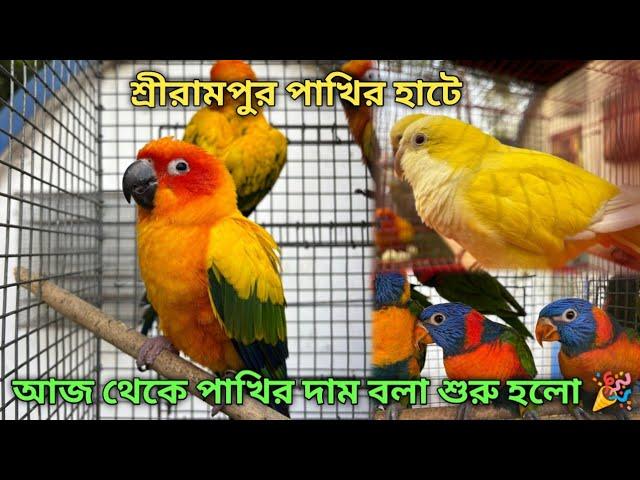 Serampore Pet Market | Recent Bird Price Update | Premium Quality Monk Parakeet, Sun Conure Etc.