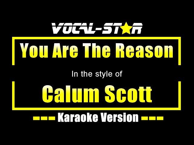 Calum Scott - You Are The Reason (Karaoke Version) Lyrics HD Vocal-Star Karaoke