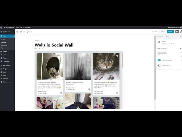 How to add a social media feed to WordPress