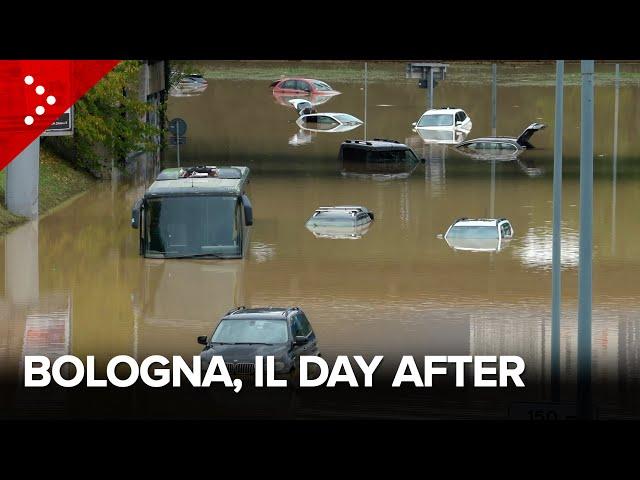 Alluvione Bologna, il day after: un pullman e numerose auto nell'acqua a Borgo Panigale