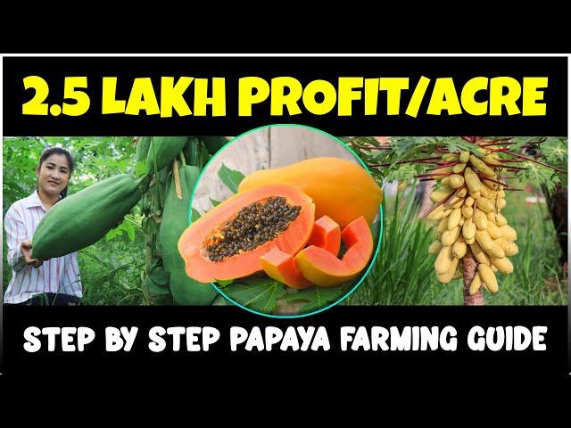 Papaya Farming: Complete Guide | Varieties, Planting, Care, Harvesting, Marketing