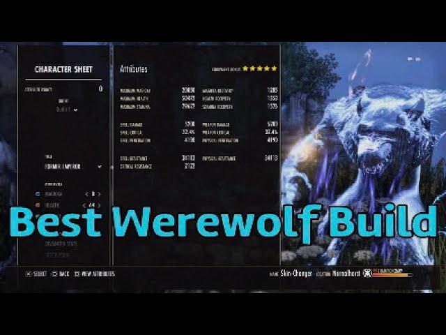 ESO - Maybe the best werewolf spec in pvp?